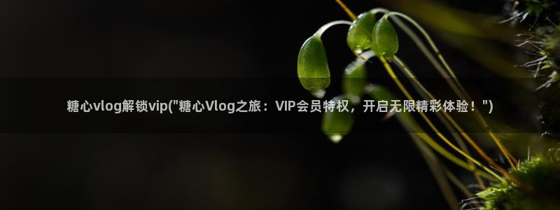 糖心vlog女友：糖心vlog解锁vip(\