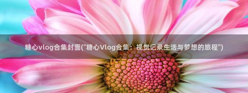 糖心vlog官网版下载：糖心vlog合集封面(\
