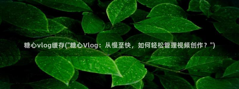 糖心vlog在线时间：糖心vlog缓存(\
