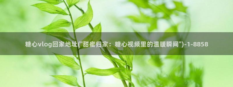 打电话糖心vlog：糖心vlog回家地址(\