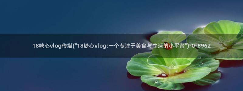 破解糖心vlog教程：18糖心vlog传媒(\